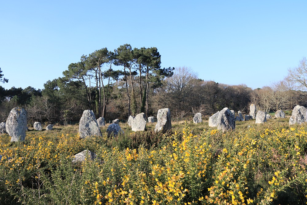 Alignements de Menhirs à carnac 